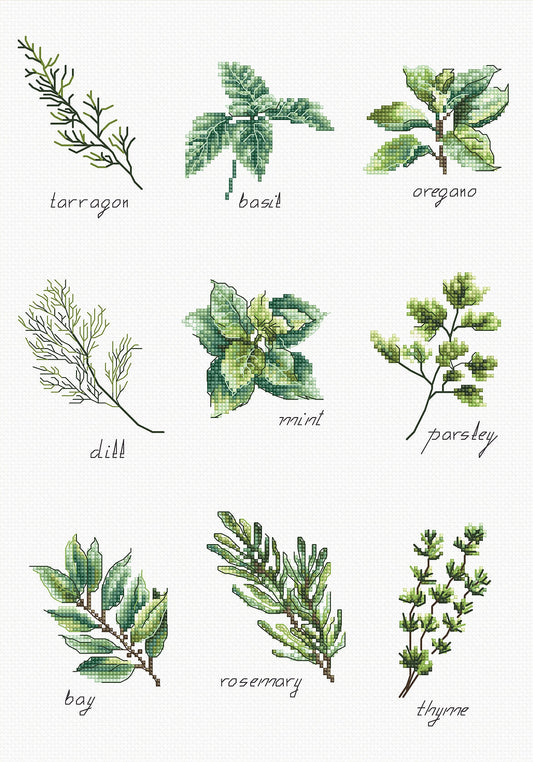 Cross Stitch kit Luca-S - Spices and Herbs, B2345