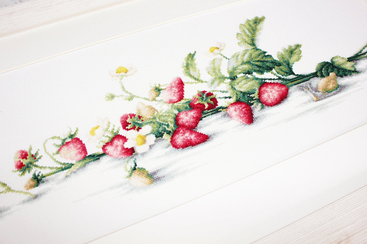 Cross Stitch Kit Luca-S - Etude with Strawberries, B2266