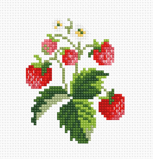 Cross Stitch Kit for Beginners -  Kids Embroidery Kit B015
