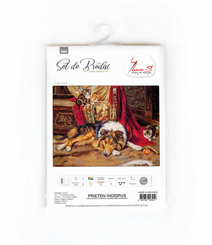 Cross Stitch Kit Luca-S - A Reluctant Companion, B585