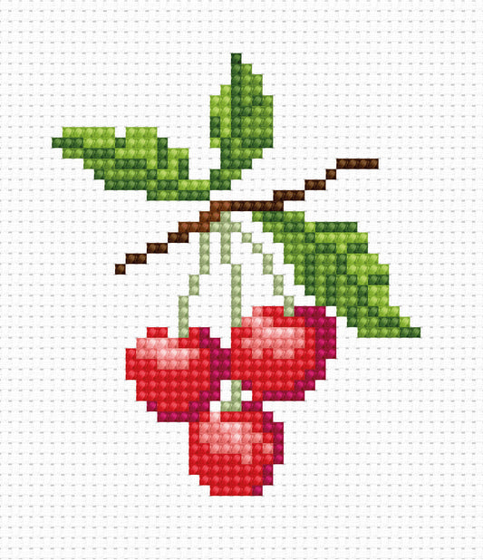 Cross Stitch Kit for Beginners -  Kids Embroidery Kit B016