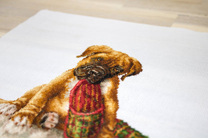 Cross Stitch Kit Luca-S - The Boxer, B2338