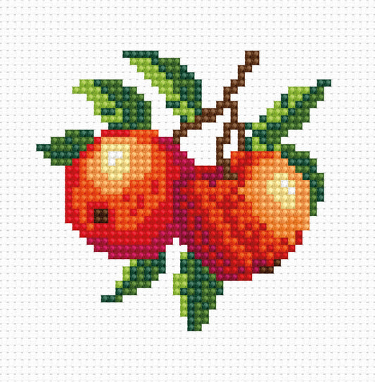 Cross Stitch Kit for Beginners -  Kids Embroidery Kit B028