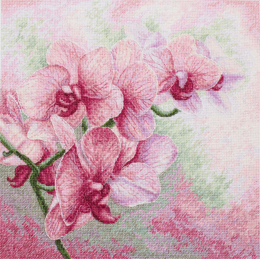 Cross Stitch Kit Luca-S - Graceful Orchids B7009