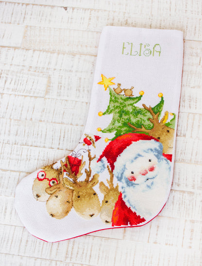 Christmas Stockings - Santa Claus PM1225
